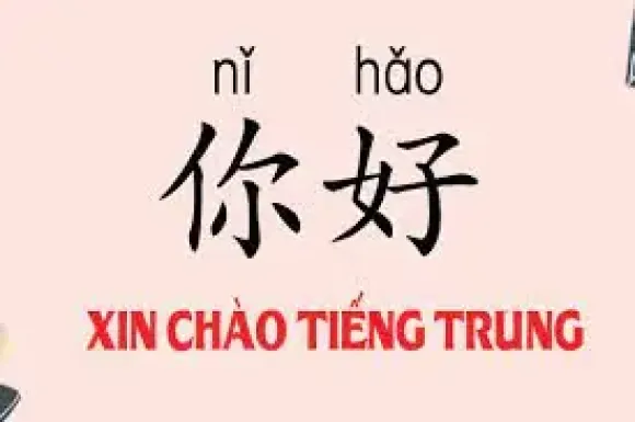 TƯ VẤN XKLĐ